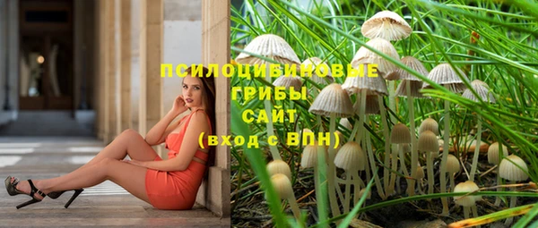 бутират Аркадак
