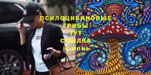 СК Армянск